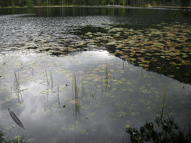 am Arbersee