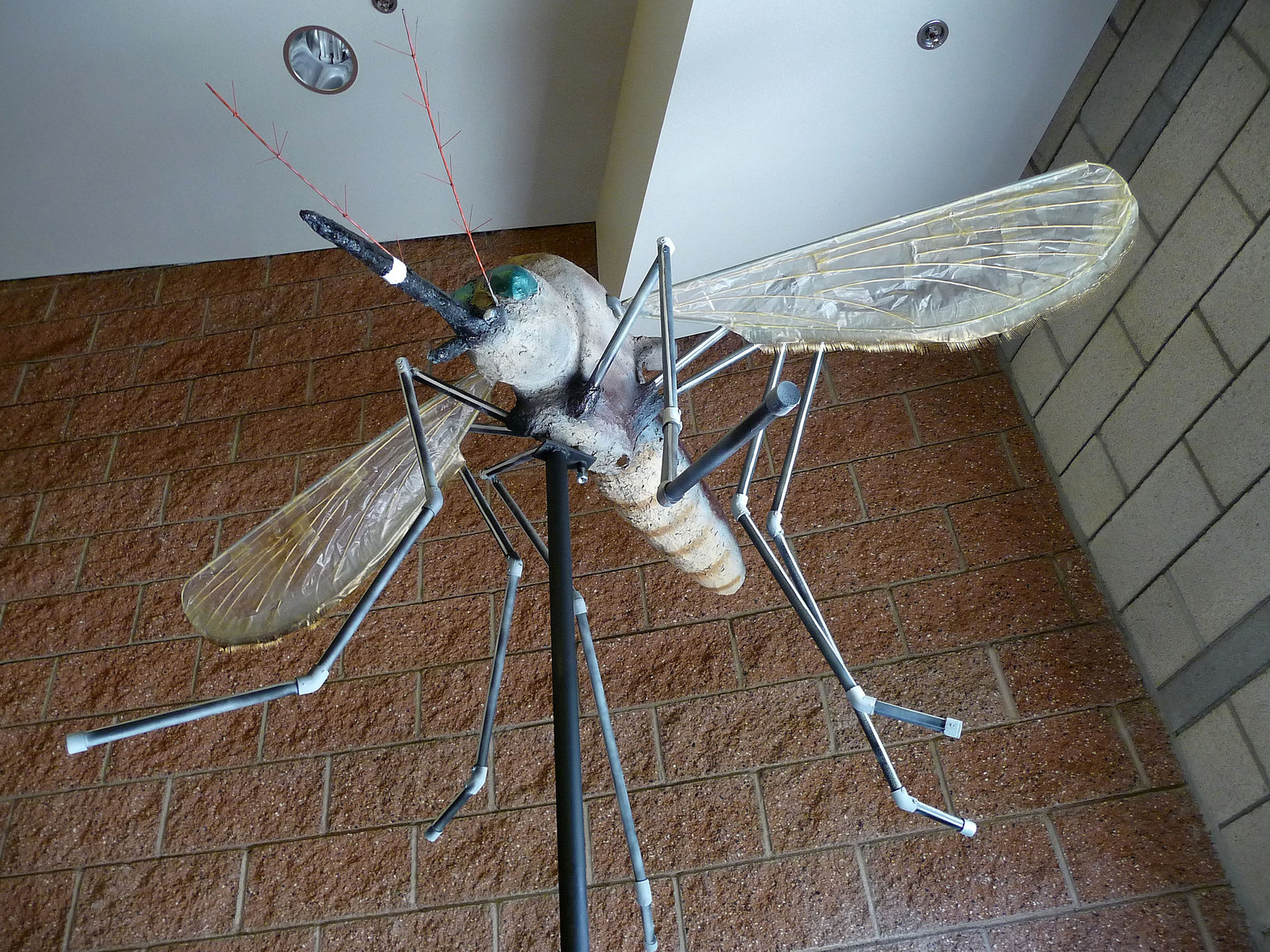 CVMVCD Mosquito Model (1933)