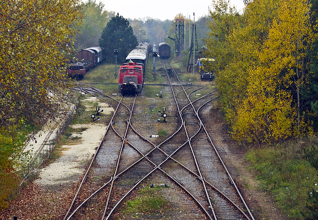 Autumn in the Museum Strasshof