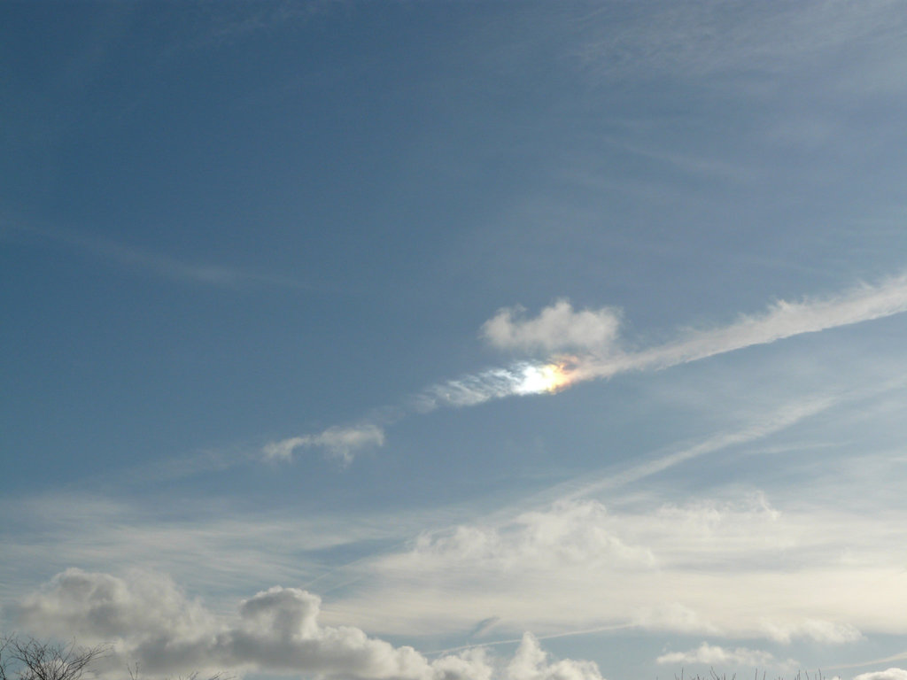 Sundog 1