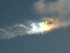 Sundog 2