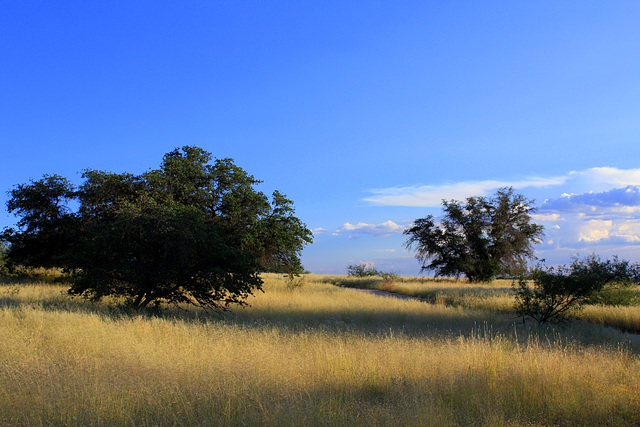 Cochise Stronghold