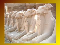 Criosphinx, Karnak, Egypte