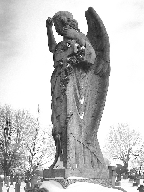 Ange de ma ville en noir et blanc  -  Hometown's angels in B & W .  En noir et blanc.  25 Janvier 2009.