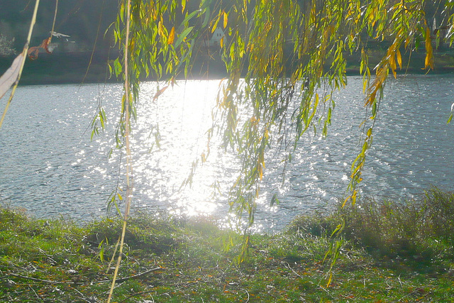 Sonniger Herbsttag an der Elbe bei Pirna