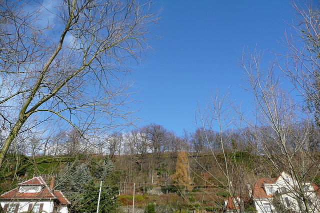 Sonniger Herbsttag bei Pirna