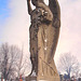 Regard intime sur Ange à la croix /  Intimate glance at the Angel holding the cross-  Hometown cemetery -  Dans ma ville - 25 Janvier 2009.