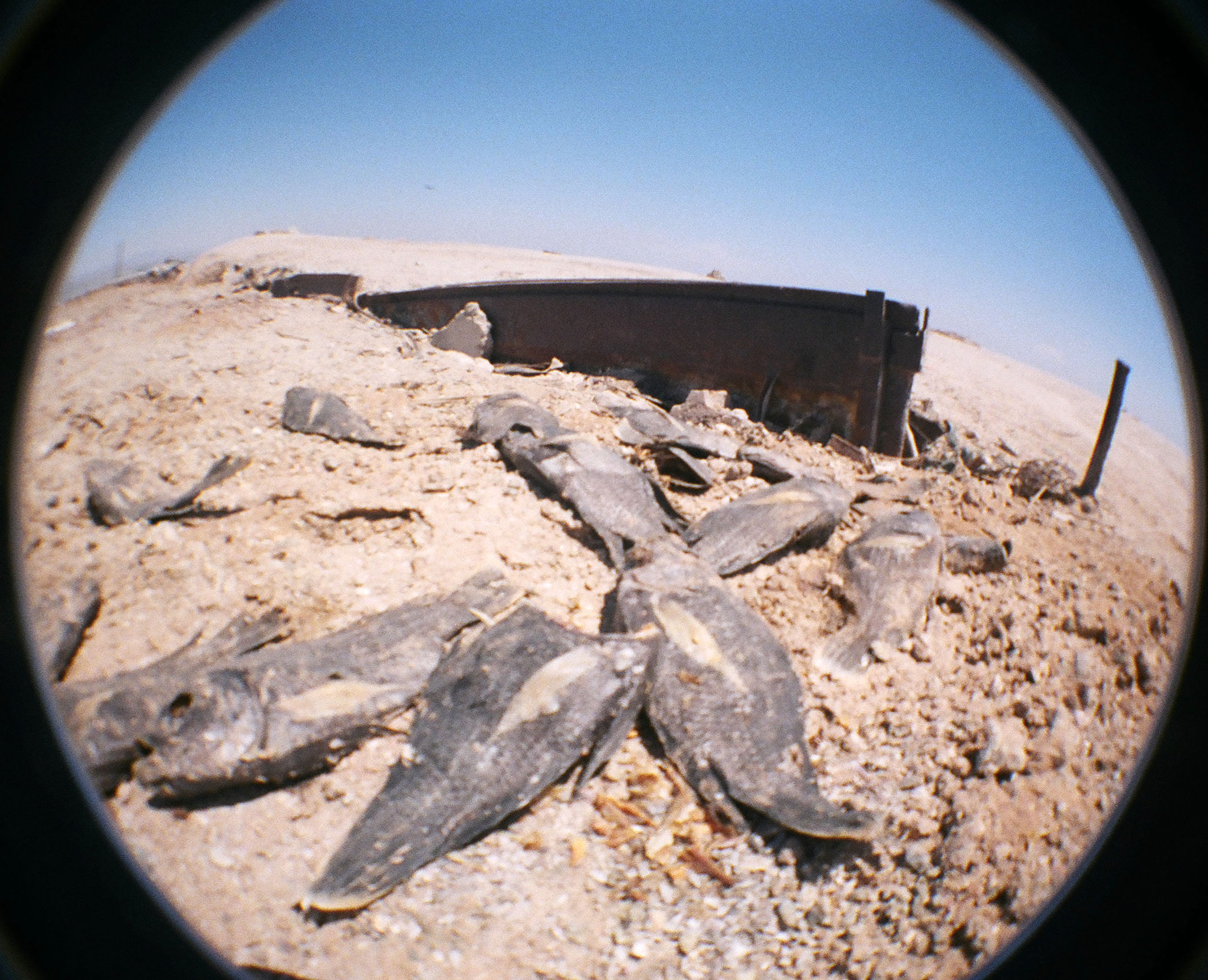 Bombay Beach (0009)