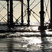 CH Photowalk 10-12-09   Under The Pier