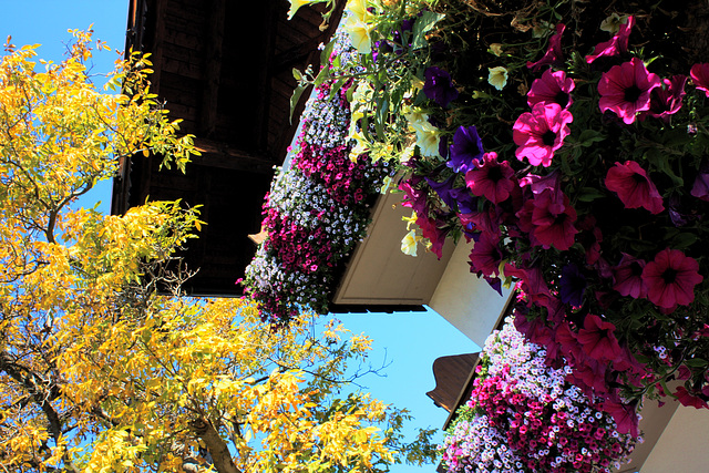 Buntes in Südtirol