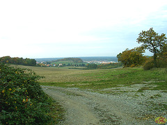 2008-10-19 07 Wandertruppe, Weissig - Heidenau