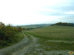 2008-10-19 08 Wandertruppe, Weissig - Heidenau