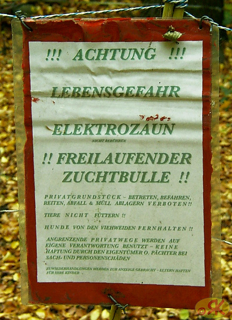 2008-10-19 33 Wandertruppe, Weissig - Heidenau