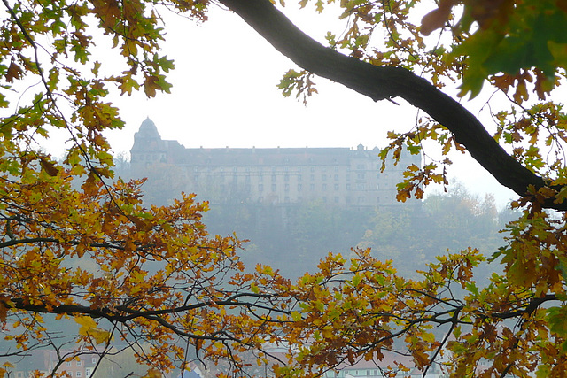 Herbstspaziergang mit Familie Teil 2