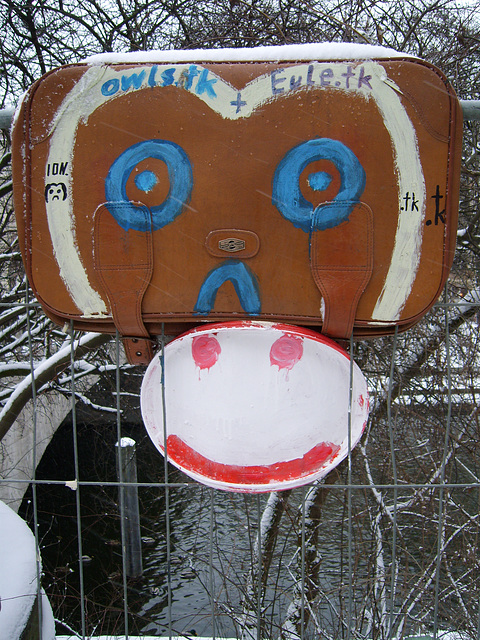 /snow-owl#─────██████████════█