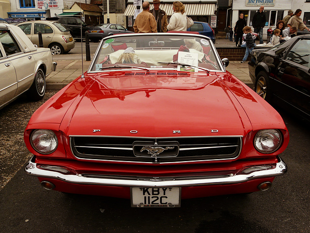 Hastings Car Show 09 -8