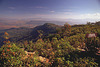 At the Phu Ruea plateau