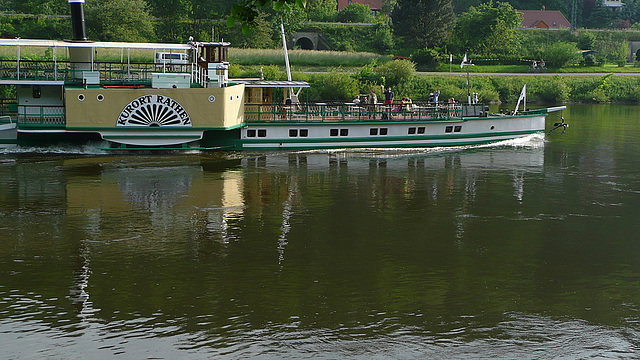 Die weiße Flotte - die älteste Raddampferflotte der Welt