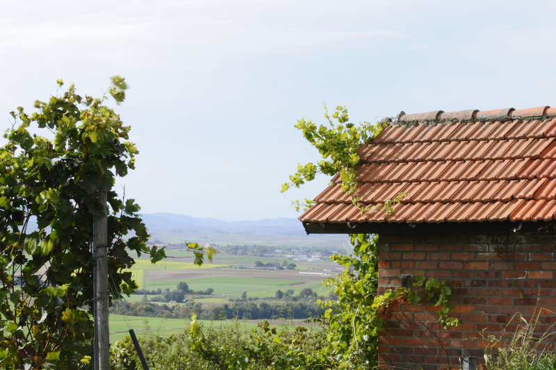 Odenwald - Blick vom Groß-Umstädter Weinberg