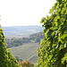 Odenwald - Blick vom Groß-Umstädter Weinberg