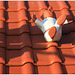 Dachschmuck / decoration on the roof