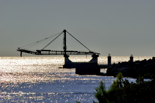 Crane Sunset