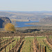 Columbia River/Wanapum Reservoir