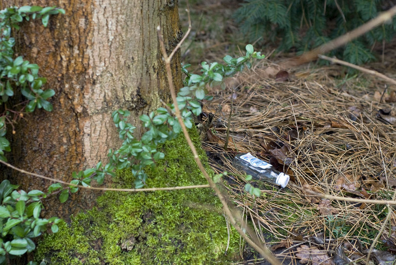 Küstennebel