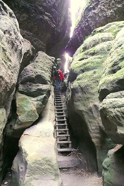 Sächsische Schweiz - am Gohrisch