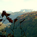 Spaziergang am Burglehnpfad mit Canalettoblick