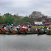 Regatta on the Hương River