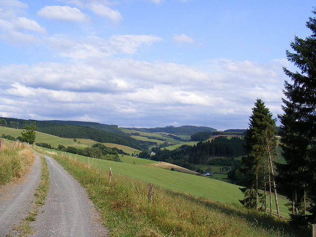 Sauerland