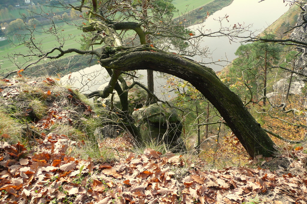 Blick von der Bastei - Oktober 2008