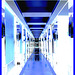 Perspective intérieure / Inner perspective - 1250 BLVD René Lévesque ouest- Montréal- 26-01-2008 - Effet négatif avec flash