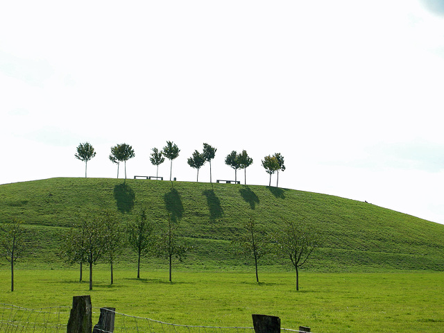 ziemlich grün