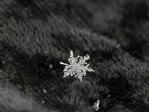 Another New Flake