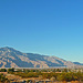 Mt. San Jacinto From Hacienda in Desert Hot Springs (1673)