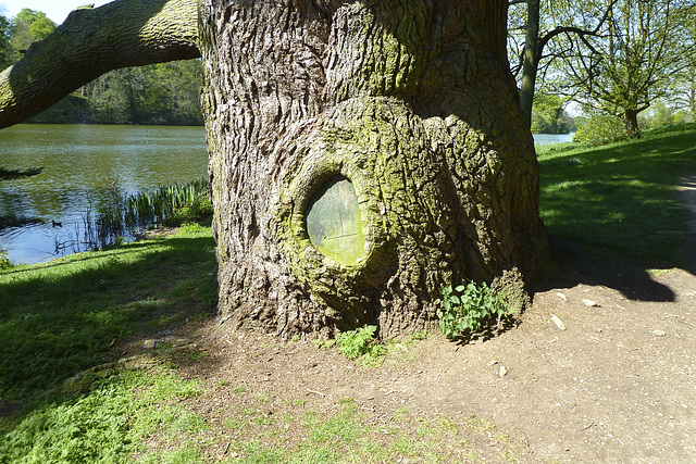 Blenheim Palace – Closed door