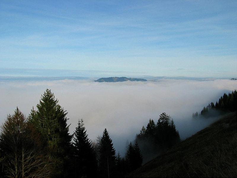 Nebelgrenze bei ca. 1100 m