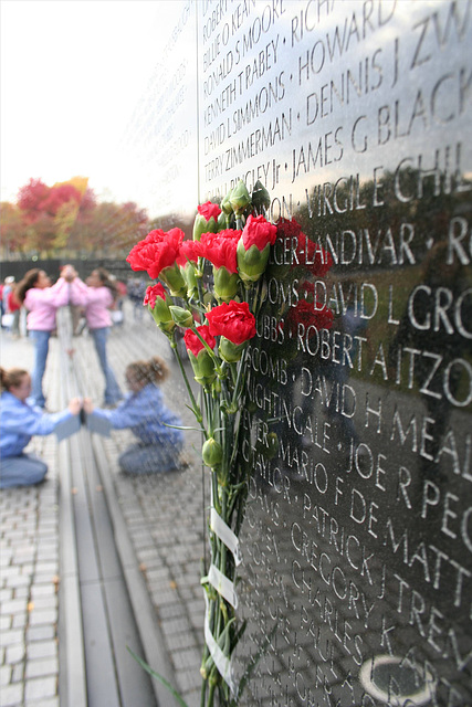 02.VietnamWarVeteransMemorial.WDC.14nov07