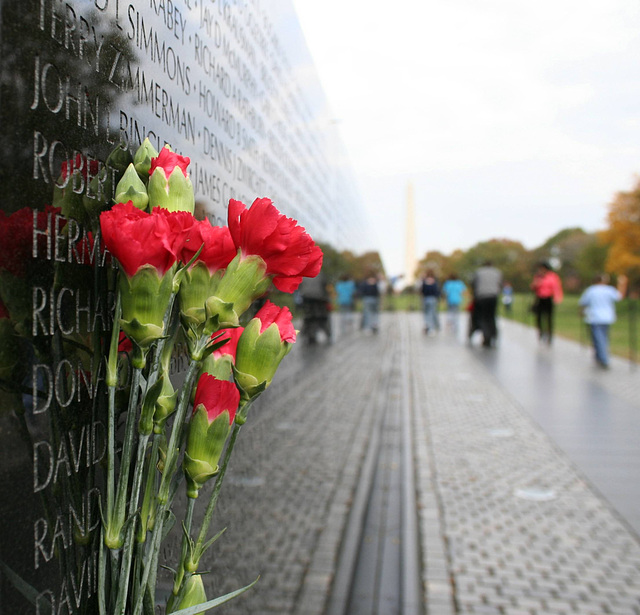 06a.VietnamWarVeteransMemorial.WDC.14nov07