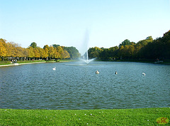 2008-10-08 01 Großer Garten