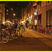 Vélos au repos /   Sleeping Danish bikes in Copenhagen. 19 octobre 2008.