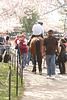 25.Sunday.NCBF.TidalBasin.SW.WDC.29mar09