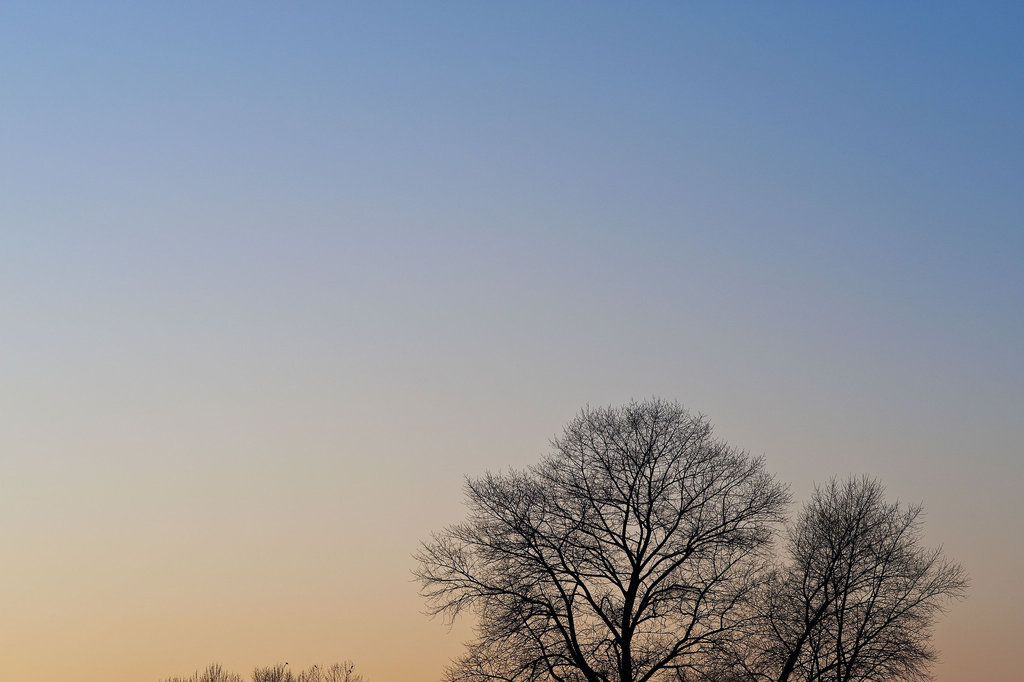 Evening