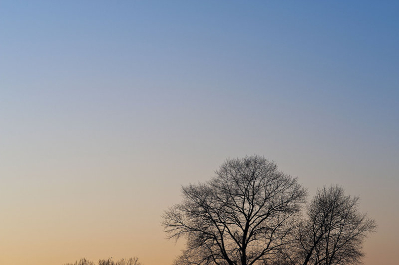 Evening