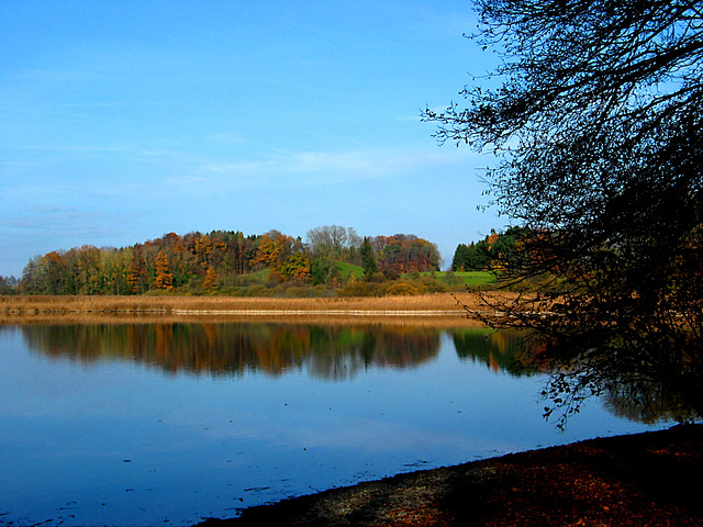 Am Rössler Weiher im Herbst 08