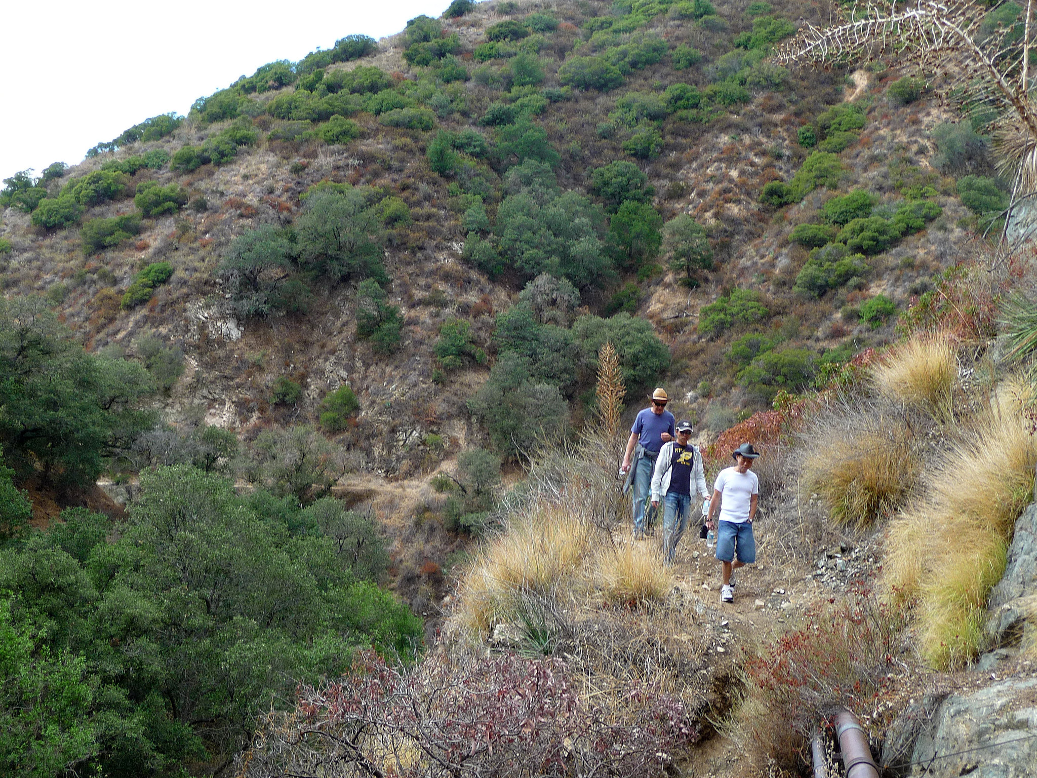 Rubio Canyon Hike (1944)