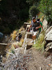 Rubio Canyon Hike (1945)