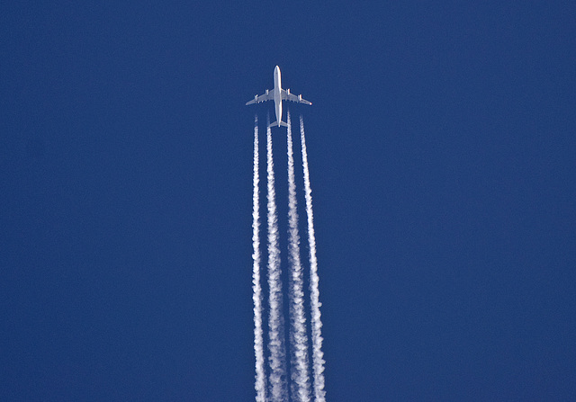 HB-JME A340-313X Swiss